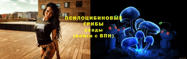 СК Богданович