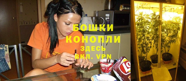 MDMA Premium VHQ Богородицк