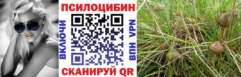 Галлюциногенные грибы MAGIC MUSHROOMS  kraken сайт  Краснокамск 