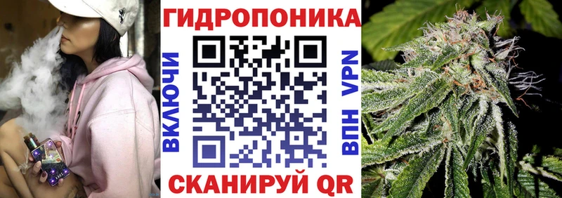 Шишки марихуана Amnesia  где найти   Краснокамск 